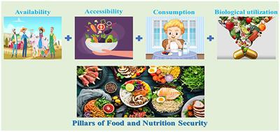 The vulnerability of a centralized food system: An opportunity to improve food security in times of COVID-19-Peru perspective